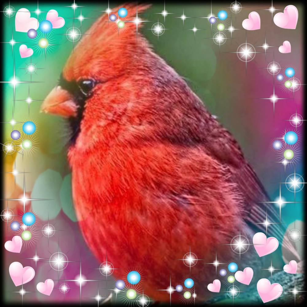 Meet your Posher, Dodie